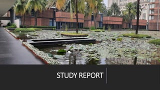STUDY REPORT
 