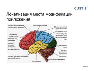 Локализация места модификации
приложения

43/110

 