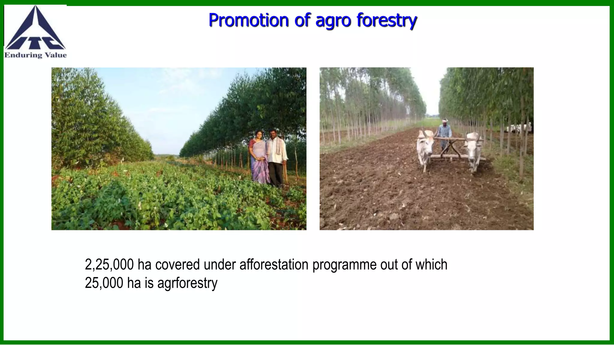 Promotion of agro forestry
2,25,000 ha covered under afforestation programme out of which
25,000 ha is agrforestry
 