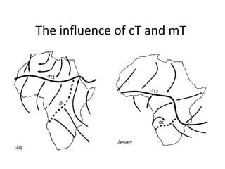 The influence of cT and mT
 