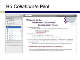 Bb Collaborate Pilot
97
 