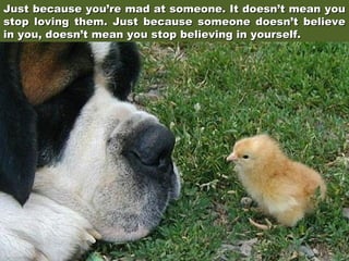 Just because you’re mad at someone. It doesn’t mean you
stop loving them. Just because someone doesn’t believe
in you, doesn’t mean you stop believing in yourself.

 