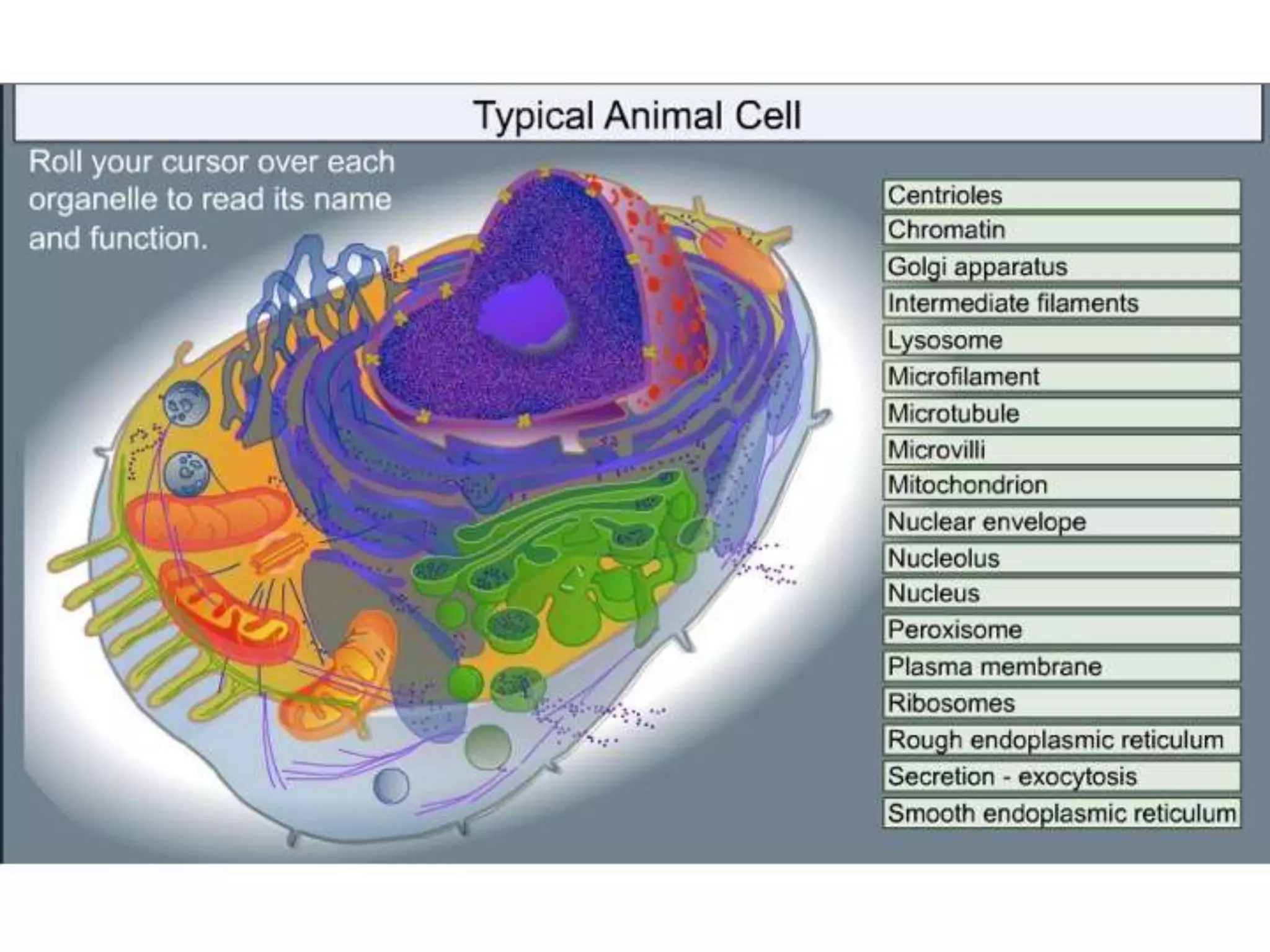 Is Your School Ready for Online Learning