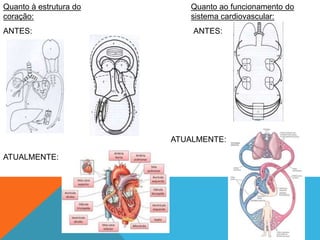 Quanto à estrutura do
coração:
ANTES:
ATUALMENTE:
Quanto ao funcionamento do
sistema cardiovascular:
ANTES:
ATUALMENTE:
 