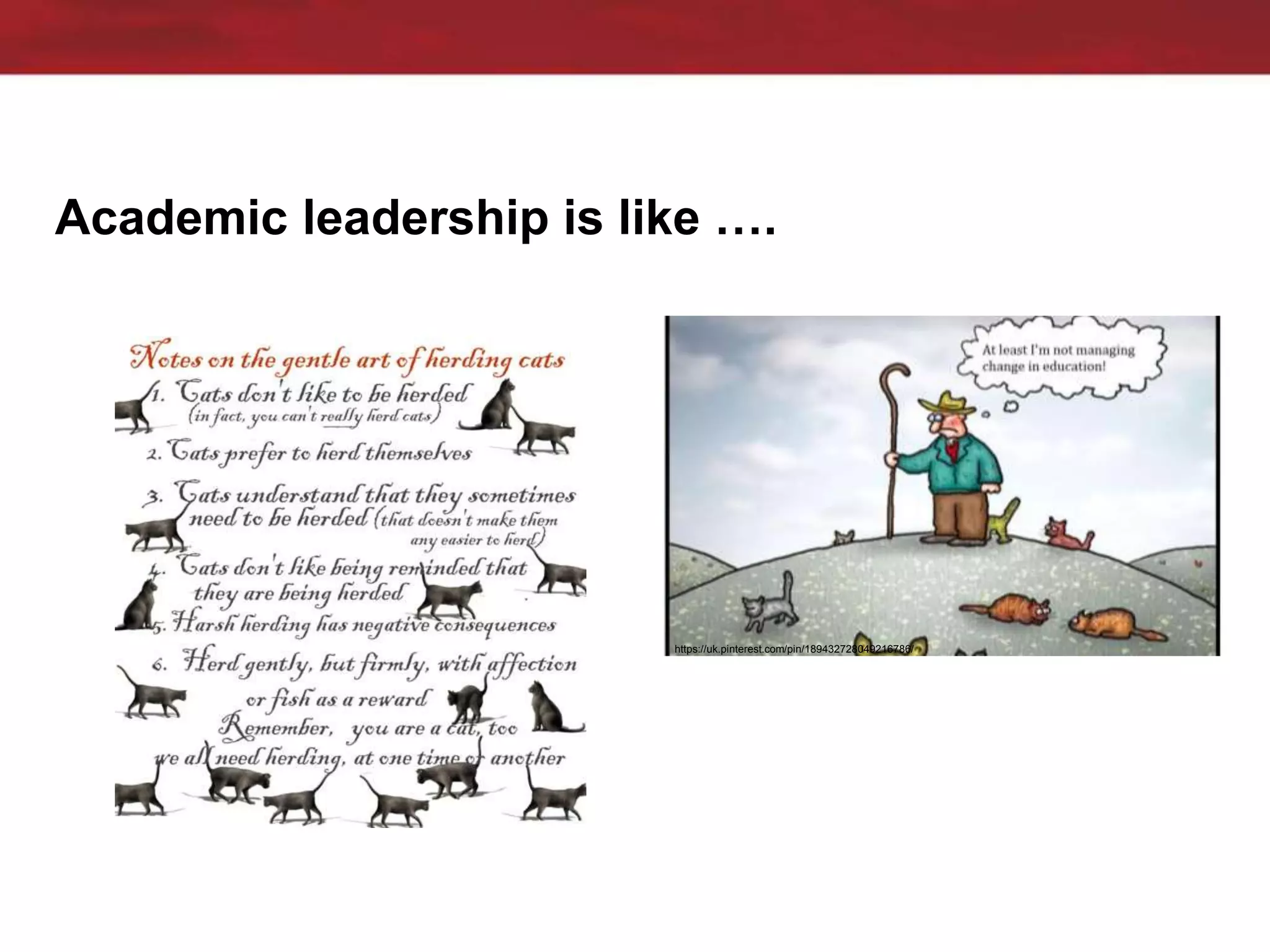Academic leadership is like ….
https://uk.pinterest.com/pin/189432728049216786/
 
