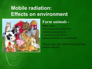 Mobile radiation:
Effects on environment
            Farm animals -
            Dairy cows –
            •Decreased milk production
            •spontaneous abortions
            • reproductive problems
            •general declines in overall health.

            •Sheep, dogs, cats, rabbits living near base
            stations affected.
 