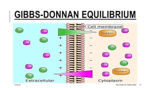 GIBBS-DONNAN EQUILIBRIUM
13-Feb-18 SOLUTIONS- DR. SUBIR KUMAR 41
 