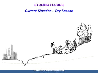 CCAFS Science Meeting Item 05 Vladimir Smakhtin - Water storage
