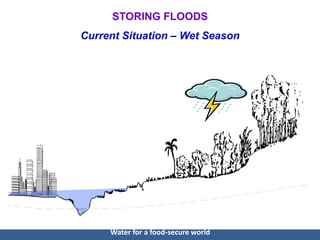 CCAFS Science Meeting Item 05 Vladimir Smakhtin - Water storage