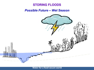 CCAFS Science Meeting Item 05 Vladimir Smakhtin - Water storage