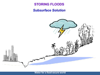 CCAFS Science Meeting Item 05 Vladimir Smakhtin - Water storage