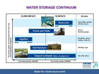 CCAFS Science Meeting Item 05 Vladimir Smakhtin - Water storage