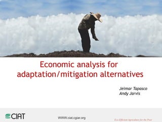 Economic analysis for
adaptation/mitigation alternatives
                                    Jeimar Tapasco
                                    Andy Jarvis




           WWW.ciat.cgiar.org
                                Eco-Efficient Agriculture for the Poor
 