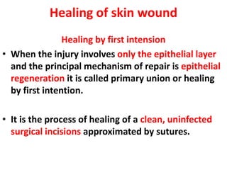 Healing of skin wound
Healing by first intension
• When the injury involves only the epithelial layer
and the principal mechanism of repair is epithelial
regeneration it is called primary union or healing
by first intention.
• It is the process of healing of a clean, uninfected
surgical incisions approximated by sutures.
 