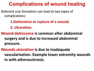 Complications of wound healing
Deficient scar formation can lead to two types of
complications:
1.Dehiscence or rupture of a wound.
2. Ulceration.
Wound dehiscence is common after abdominal
surgery and is due to increased abdominal
pressure.
Wounds ulceration is due to inadequate
vascularization. Example lower extremity wounds
in with atherosclerosis.
 