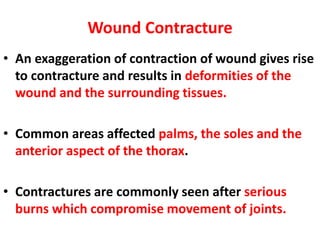 Wound Contracture
• An exaggeration of contraction of wound gives rise
to contracture and results in deformities of the
wound and the surrounding tissues.
• Common areas affected palms, the soles and the
anterior aspect of the thorax.
• Contractures are commonly seen after serious
burns which compromise movement of joints.
 