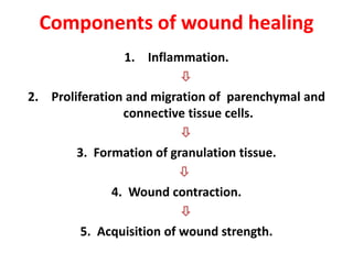 Components of wound healing
1. Inflammation.

2. Proliferation and migration of parenchymal and
connective tissue cells.

3. Formation of granulation tissue.

4. Wound contraction.

5. Acquisition of wound strength.
 