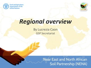 Regional overview
By Lucrezia Caon
GSP Secretariat
 