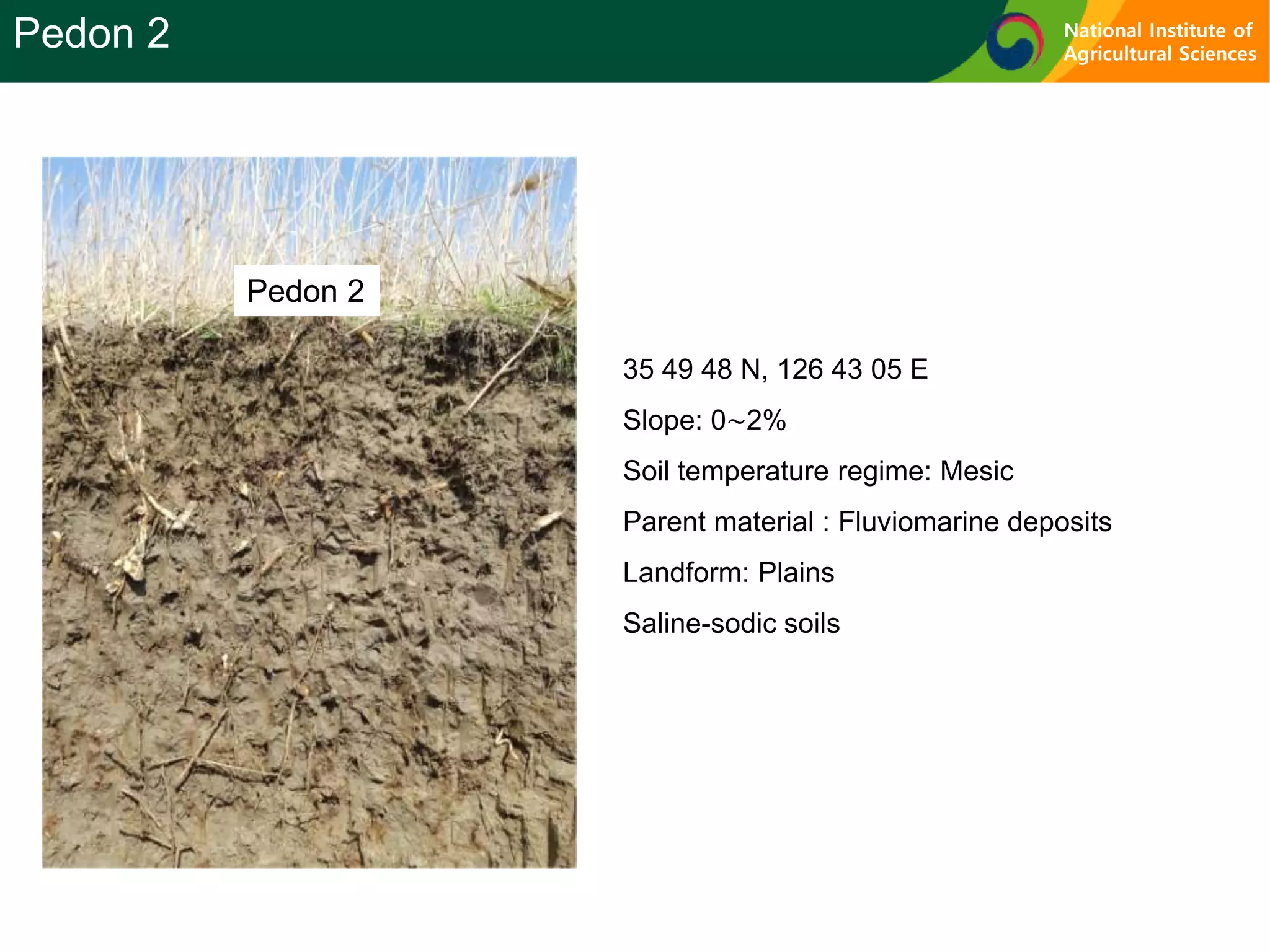 Pedon 2
35 49 48 N, 126 43 05 E
Slope: 0∼2%
Soil temperature regime: Mesic
Parent material : Fluviomarine deposits
Landform: Plains
Saline-sodic soils
Pedon 2 National Institute of
Agricultural Sciences
 