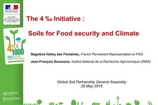 The 4 ‰ Initiative :
Soils for Food security and Climate
Ségolène Halley des Fontaines, French Permanent Representation to FAO
Jean-François Soussana, Institut National de la Recherche Agronomique (INRA)
Global Soil Partnership General Assembly
25 May 2016
1
 