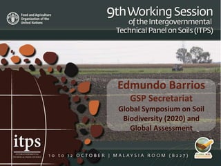 Edmundo Barrios
GSP Secretariat
Global Symposium on Soil
Biodiversity (2020) and
Global Assessment
 