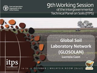 Global Soil
Laboratory Network
(GLOSOLAN)
Lucrezia Caon
 