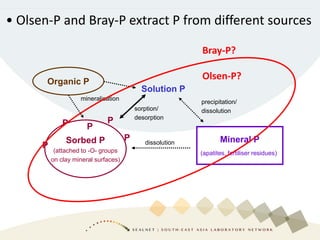 Sorbed P
(attached to -O- groups
on clay mineral surfaces)
Mineral P
(apatites, fertiliser residues)
P
P P
P
Solution P
P
precipitation/
dissolutionsorption/
desorption
dissolution
Organic P
mineralisation
Bray-P?
Olsen-P?
• Olsen-P and Bray-P extract P from different sources
 