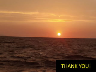 THANK YOU!
 