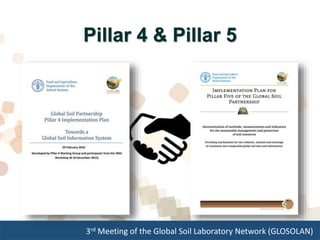 3rd Meeting of the Global Soil Laboratory Network (GLOSOLAN)
Pillar 4 & Pillar 5
 