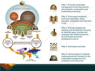 Pillar 1: Promote sustainable
management of soil resources for
soil protection, conservation and
sustainable productivity
Pillar 2: Encourage investment,
technical cooperation, policy,
education, awareness and extension
in soil
Pillar 3: Promote targeted soil
research and development focusing
on identified gaps, priorities and
synergies with related productive,
environmental and social
development actions
Pillar 4: Information and Data
Pillar 5: Harmonization of methods,
measurements and indicator for the
sustainable management and
protection of soil resources
 