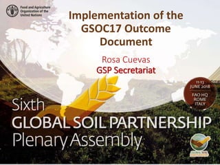 Rosa Cuevas
GSP Secretariat
Implementation of the
GSOC17 Outcome
Document
 