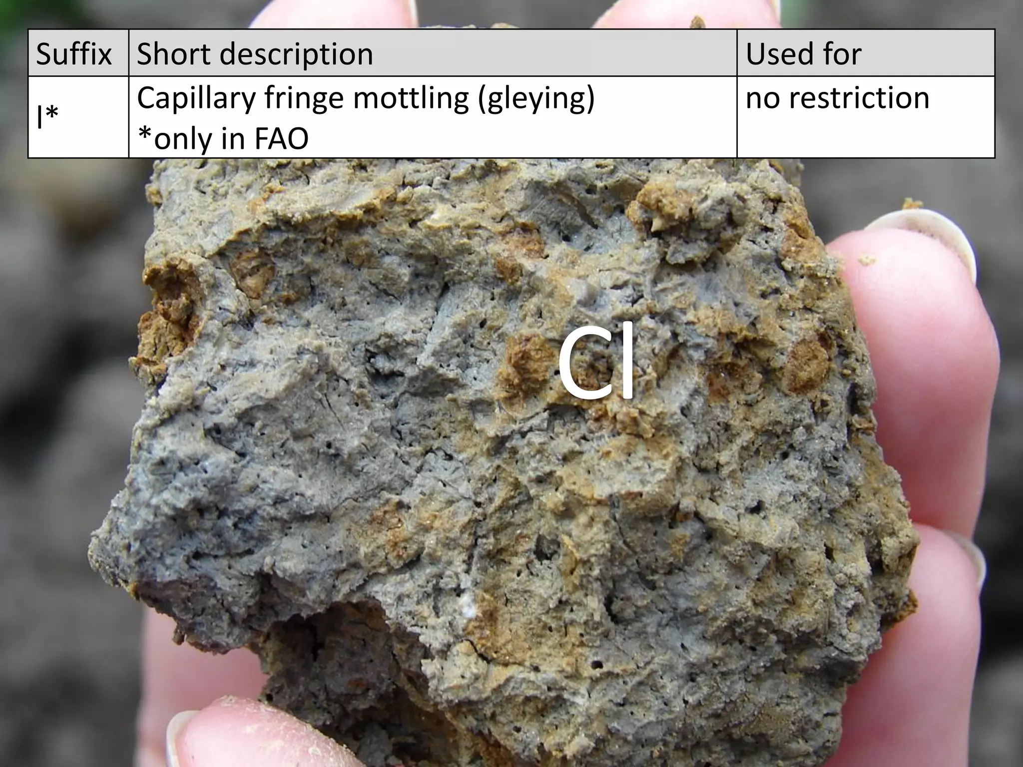 Suffix Short description Used for
l*
Capillary fringe mottling (gleying)
*only in FAO
no restriction
Cl
 