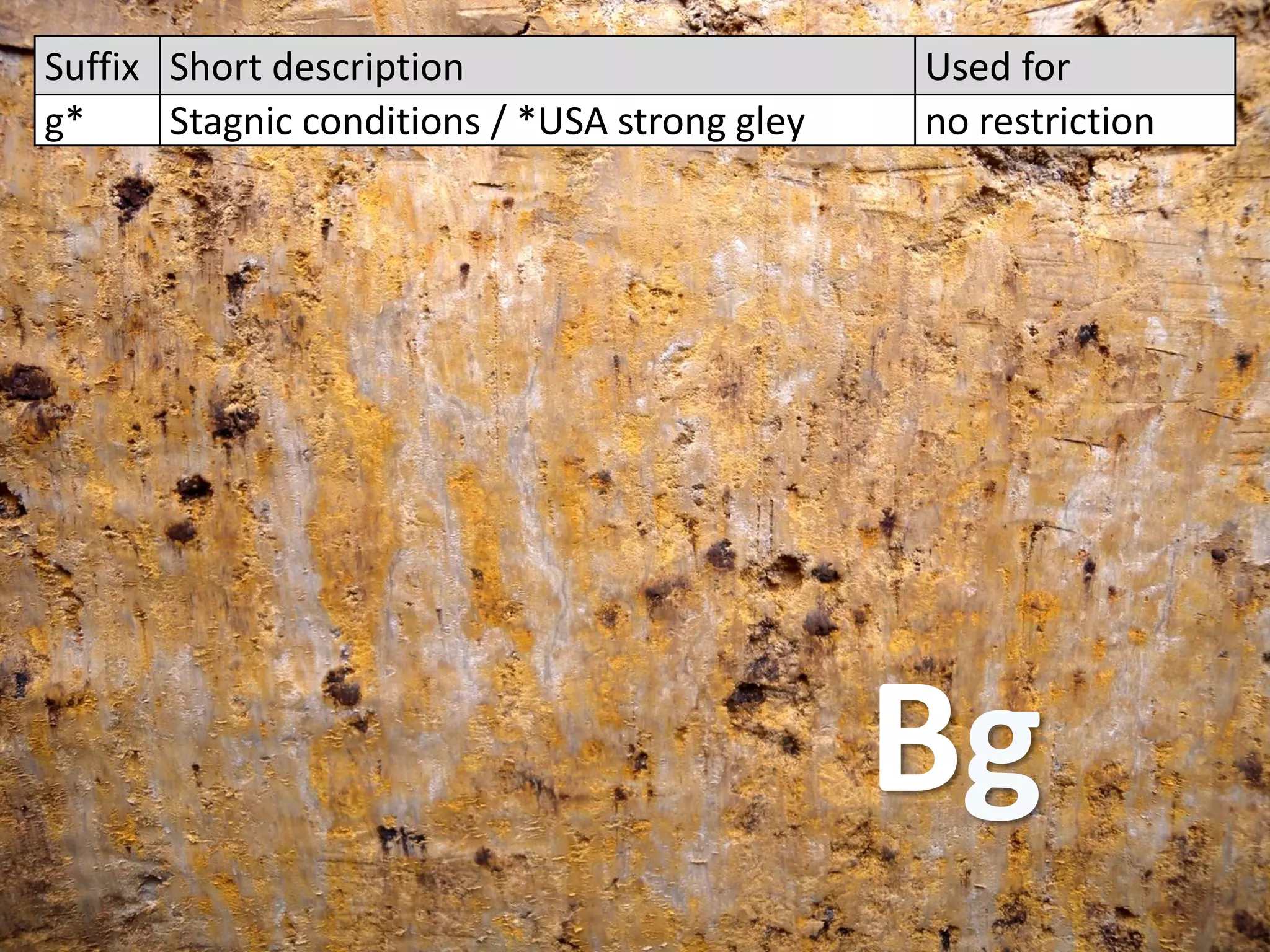 Suffix Short description Used for
g* Stagnic conditions / *USA strong gley no restriction
Bg
 