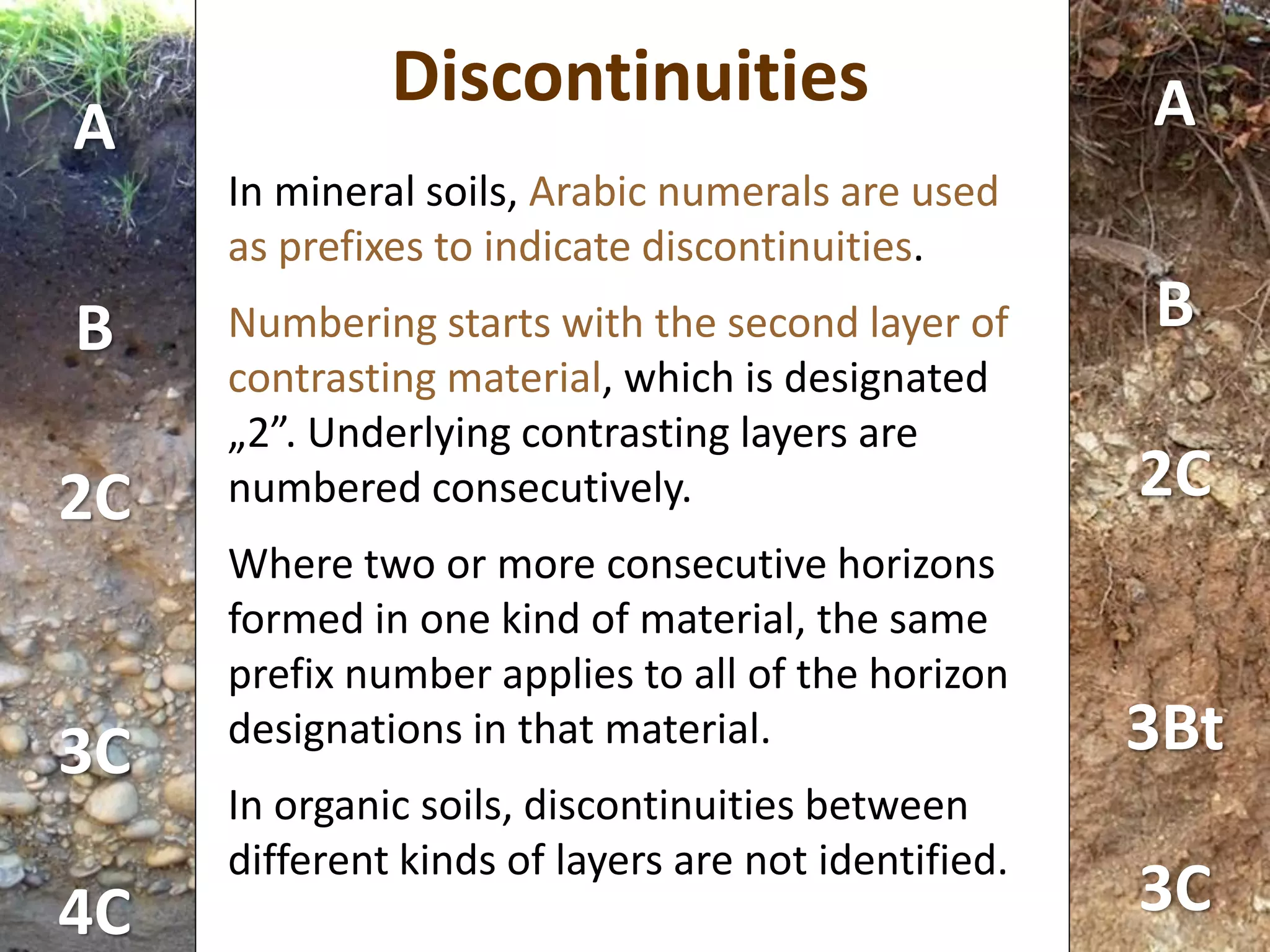 Discontinuities
In mineral soils, Arabic numerals are used
as prefixes to indicate discontinuities.
Numbering starts with the second layer of
contrasting material, which is designated
„2”. Underlying contrasting layers are
numbered consecutively.
Where two or more consecutive horizons
formed in one kind of material, the same
prefix number applies to all of the horizon
designations in that material.
In organic soils, discontinuities between
different kinds of layers are not identified.
A
B
2C
3C
4C
A
B
2C
3Bt
3C
 