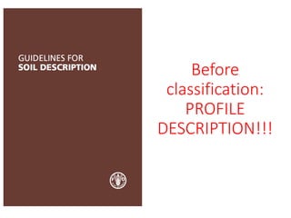 Before
classification:
PROFILE
DESCRIPTION!!!
 