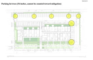 Parking lot trees (54 inches, cannot be counted toward mitigation)
Attachment A
 
