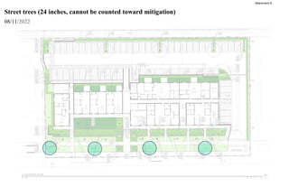 Street trees (24 inches, cannot be counted toward mitigation)
08/11/2022
Attachment A
 