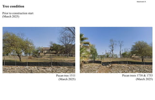 Pecan tree 1511
(March 2025)
Pecan trees 1738 & 1753
(March 2025)
Tree condition
Prior to construction start
(March 2025)
Attachment A
 