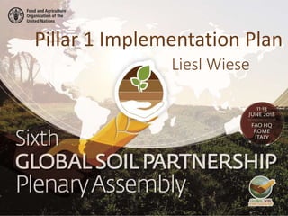 Liesl Wiese
Pillar 1 Implementation Plan
 