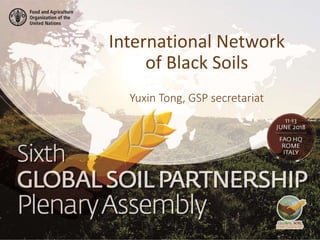Yuxin Tong, GSP secretariat
International Network
of Black Soils
 