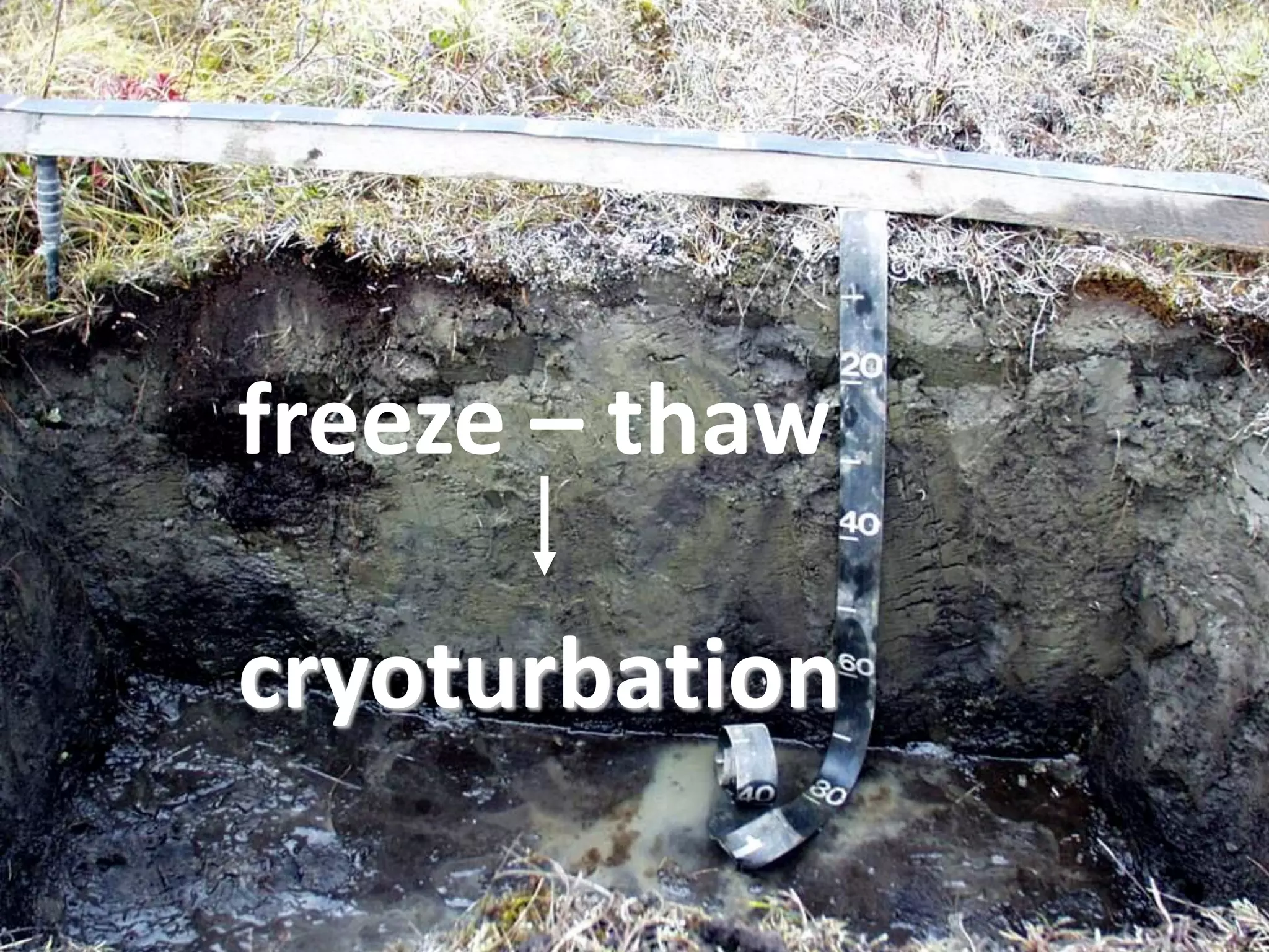 freeze – thaw
cryoturbation
 