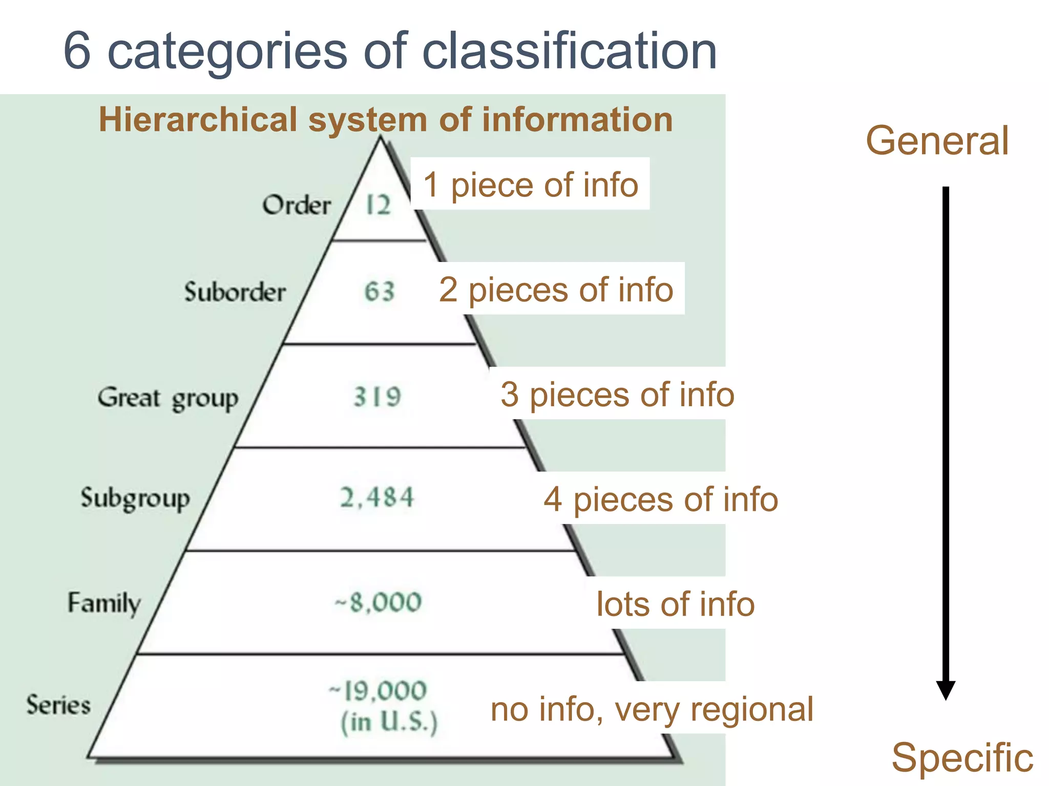 1 piece of info
2 pieces of info
3 pieces of info
4 pieces of info
lots of info
no info, very regional
6 categories of classification
Hierarchical system of information
General
Specific
 
