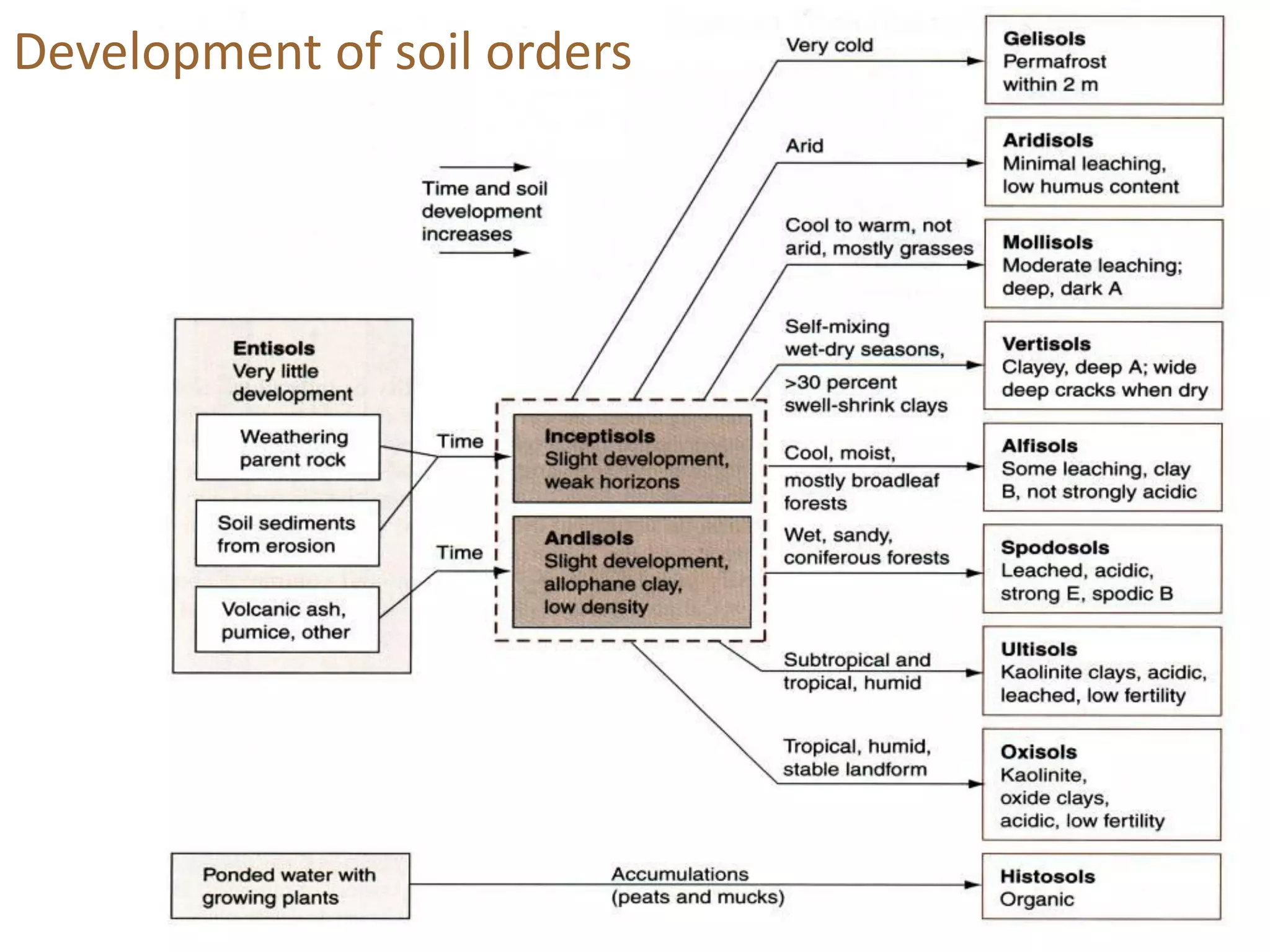 Development of soil orders
 