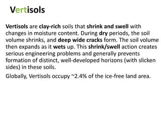 Development of soil orders
 