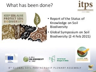 What has been done?
• Report of the Status of
Knowledge on Soil
Biodiversity
• Global Symposium on Soil
Biodiversity (2-4 Feb 2021)
 