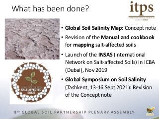 • Global Soil Salinity Map: Concept note
• Revision of the Manual and cookbook
for mapping salt-affected soils
• Launch of the INSAS (International
Network on Salt-affected Soils) in ICBA
(Dubai), Nov 2019
• Global Symposium on Soil Salinity
(Tashkent, 13-16 Sept 2021): Revision
of the Concept note
What has been done?
 