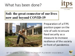What has been done?
Preparation of a ITPS
position paper on the
role of soils to ensure
food security as a
measure to increase
resilience of the society
in front of pandemics
Soil: the great connector of our lives
now and beyond COVID-19
 