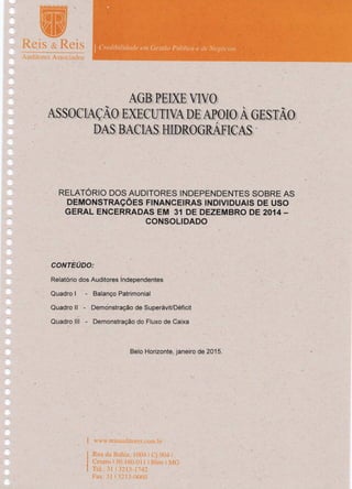 RELATÓRIO DOS AUDITORES INDEPENDENTES SOBRE AS DEMONSTRAÇÕES FINANCEIRAS INDIVIDUAIS DE USO GERAL ENCERRADAS EM 31 DE DEZEMBRO DE 2014 - CONSOLIDADO