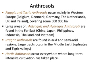 Anthrosols
 Plaggic and Terric Anthrosols occur mainly in Western
Europe (Belgium, Denmark, Germany, The Netherlands,
UK ...
