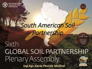 Presenter name
Title presentation
South American Soil
Partnership
Ing.Agr. Carla Pascale Medina
 